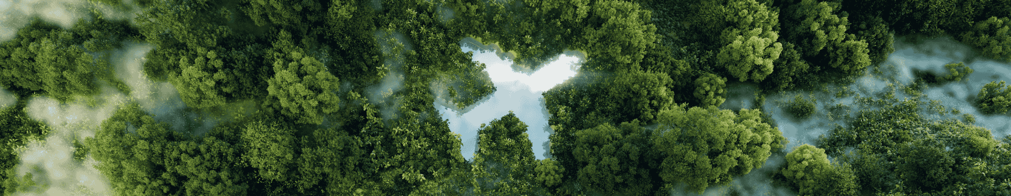 Avion entouré de verdure