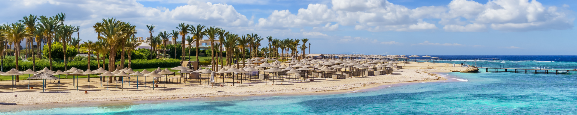 Plage entourée de palmiers, Last minute Marsa Alam, Egypte
