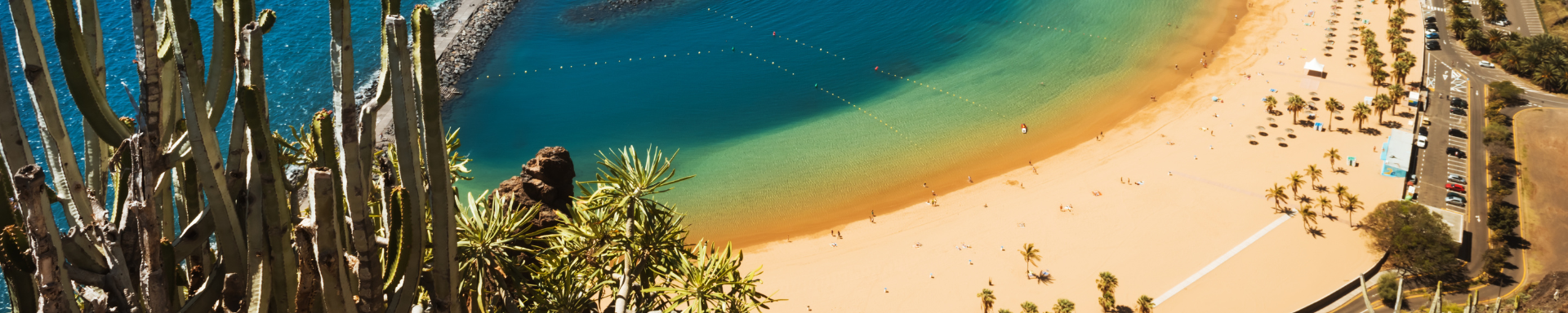 Vue d'en haut, plage de sable fin entourée de verdures, last minute Tenerife, Espagne
