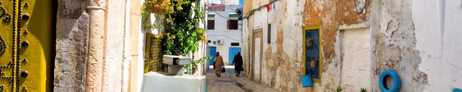 Charmante ruelle colorée et ses habitants, Tunisie