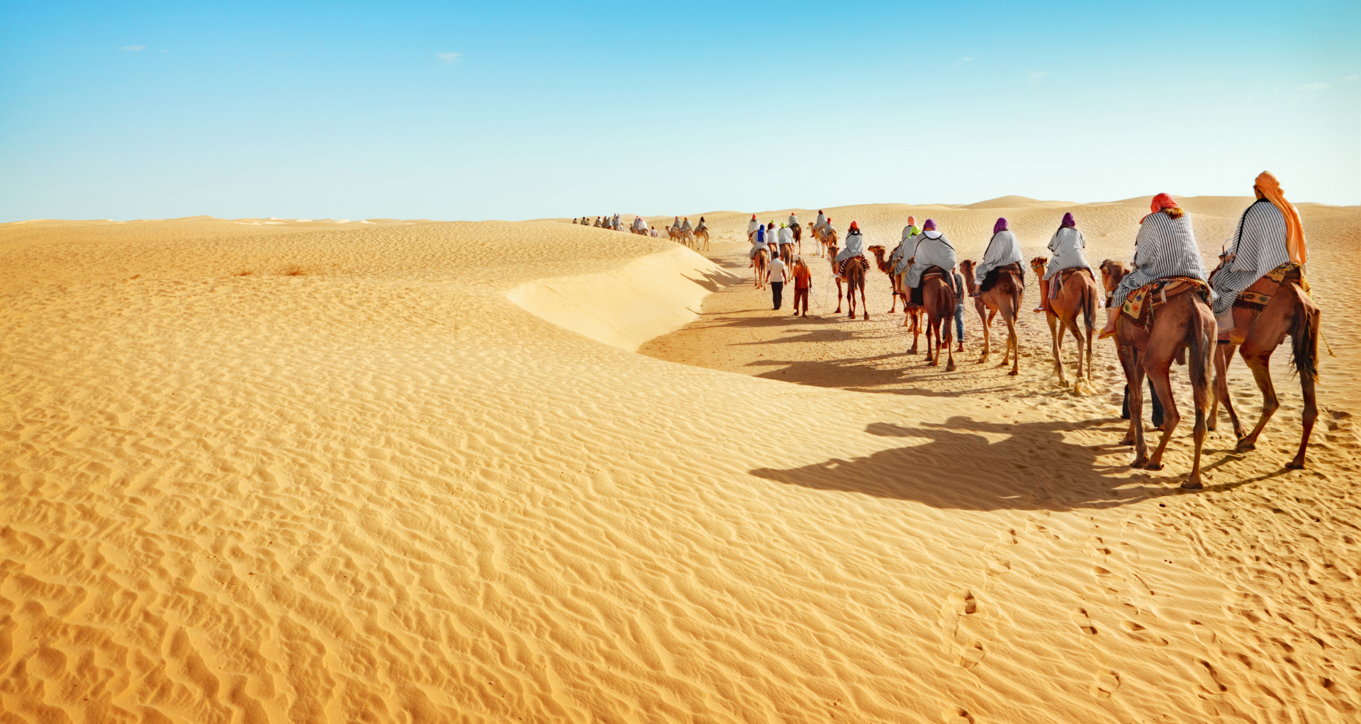 Un groupe de touristes à dos de chameaux dans le désert en Tunisie