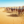 Un groupe de touristes à dos de chameaux dans le désert en Tunisie